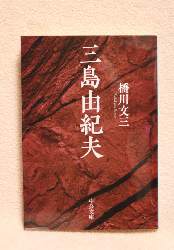 0429sabu-558x800-1
