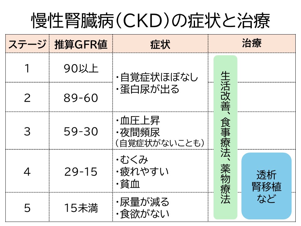 慢性腎臓病（ＣＫＤ）