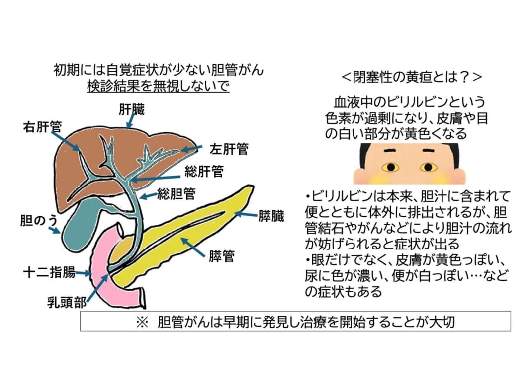 カラー用図表・イラスト カラー用図表・イラスト