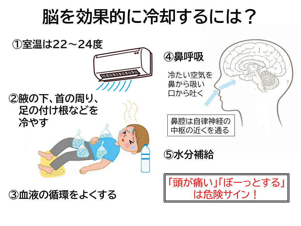 暑い夏から脳を守る