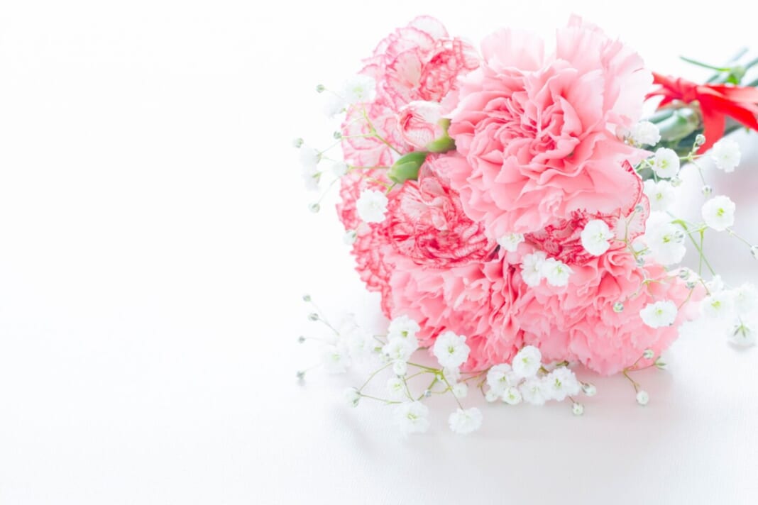 母の日のプレゼントとして定番のカーネーションの花束