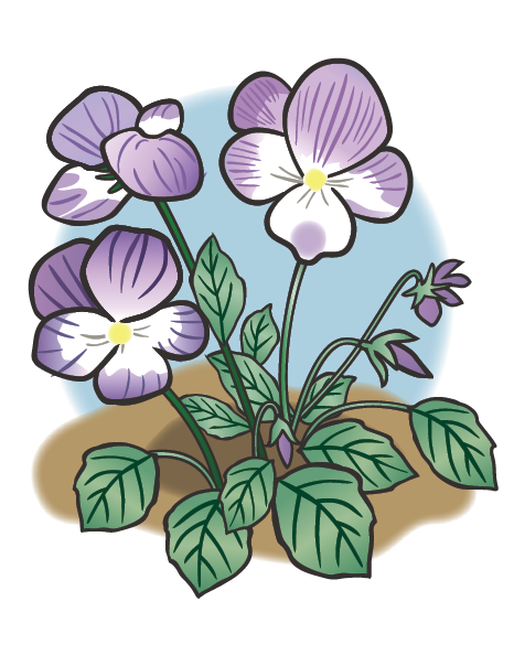 自分研きのススメ第29回