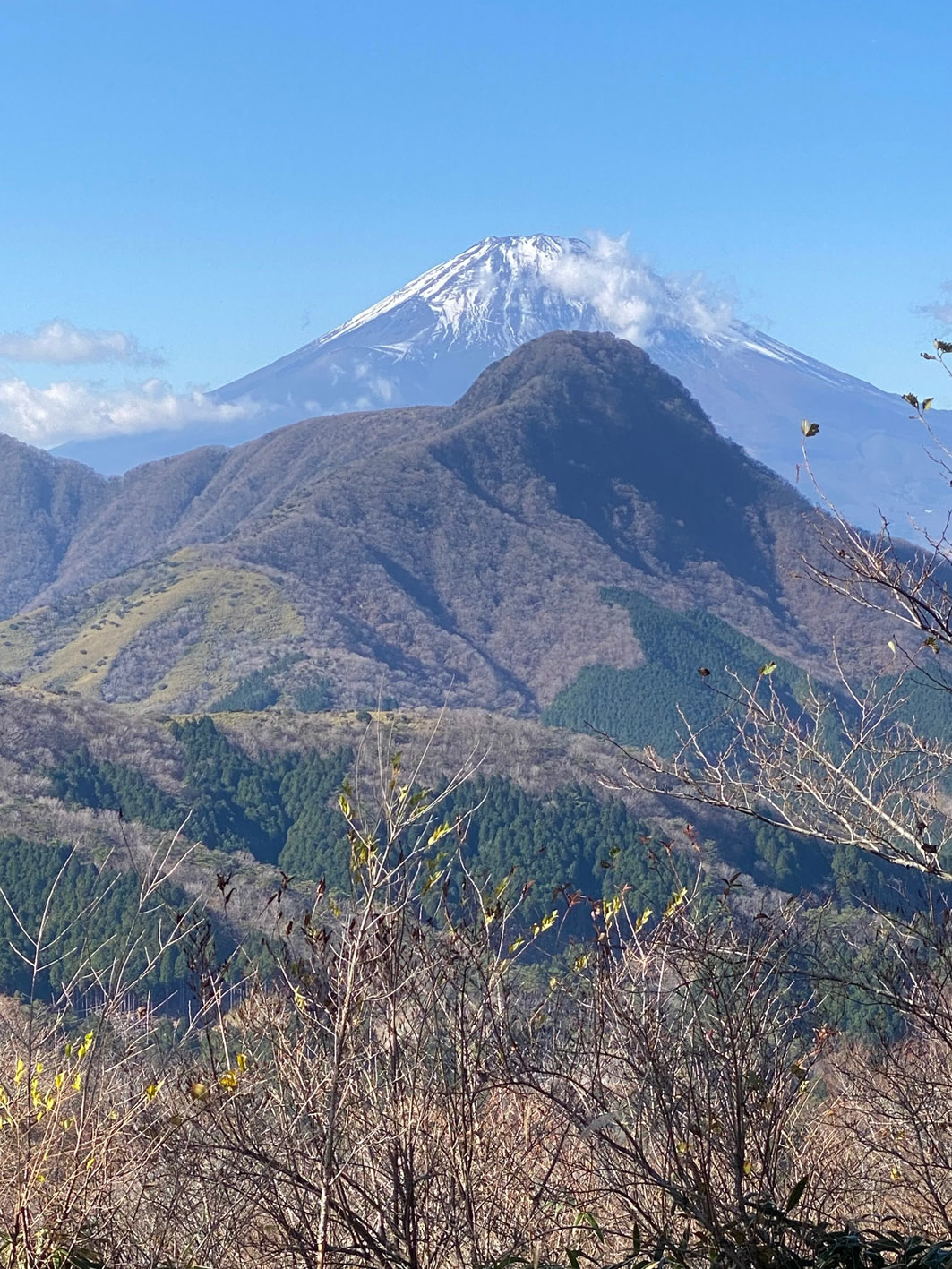 富士山を背に堂々たる金時山