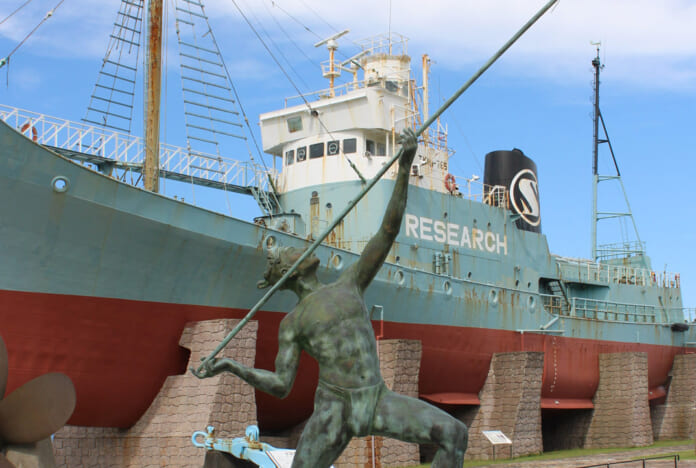 銛を手にした古式捕鯨の羽差の像。後ろは捕鯨船「第一京丸」（太地町くじら浜公園）