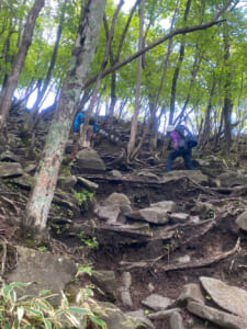 登山口からは岩場の急登が続く