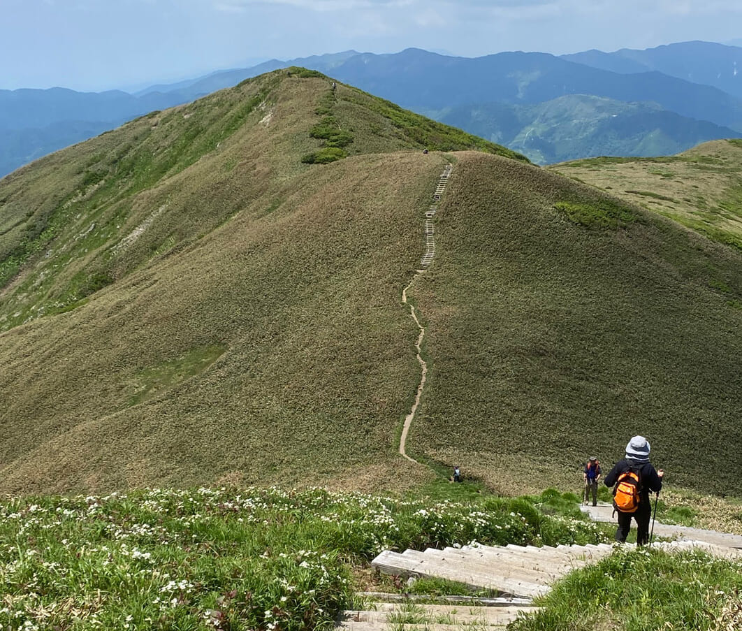 仙ノ倉山から平標山まで長い木段が続く