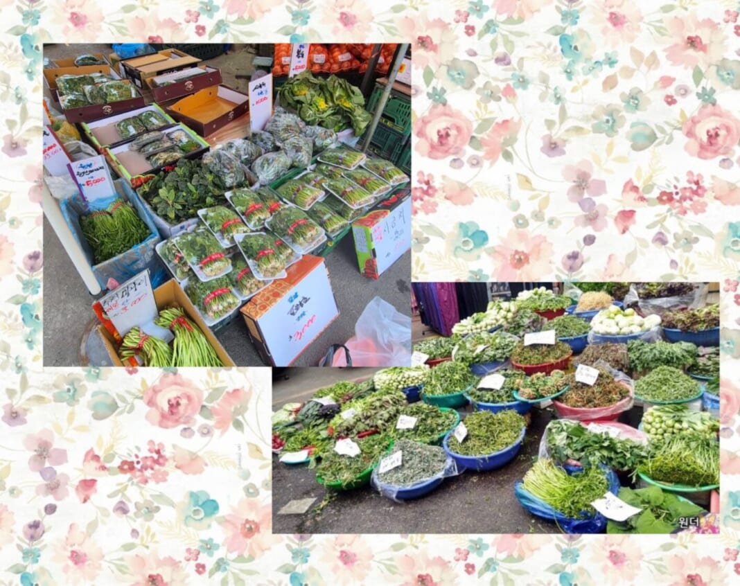 種類豊富な春の味覚　積極的に野菜を食べる文化