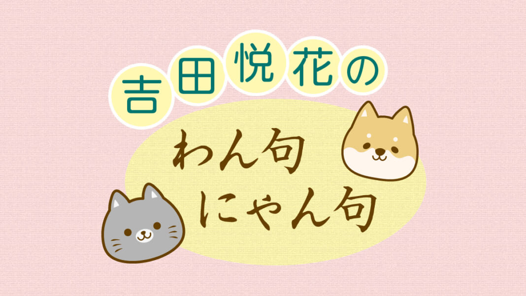 わん句にゃん句