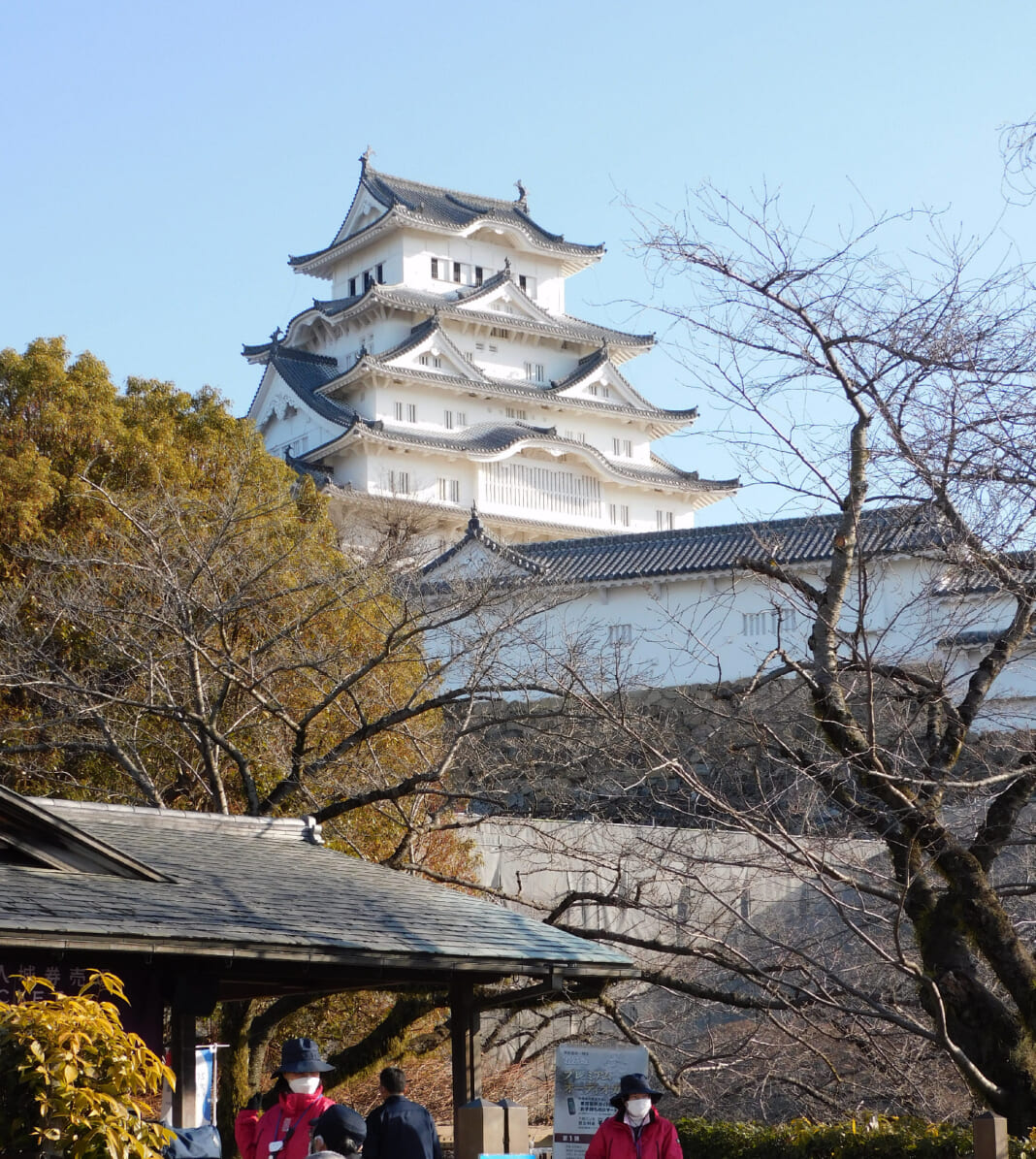 二重価格が設定される姫路城＝2025年２月14日、兵庫県姫路市