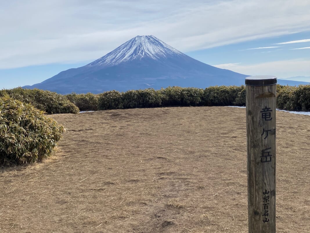 山頂から眺める笹原と富士山とのコントラストが美しい