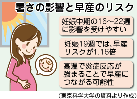 暑さの影響と早産のリスク